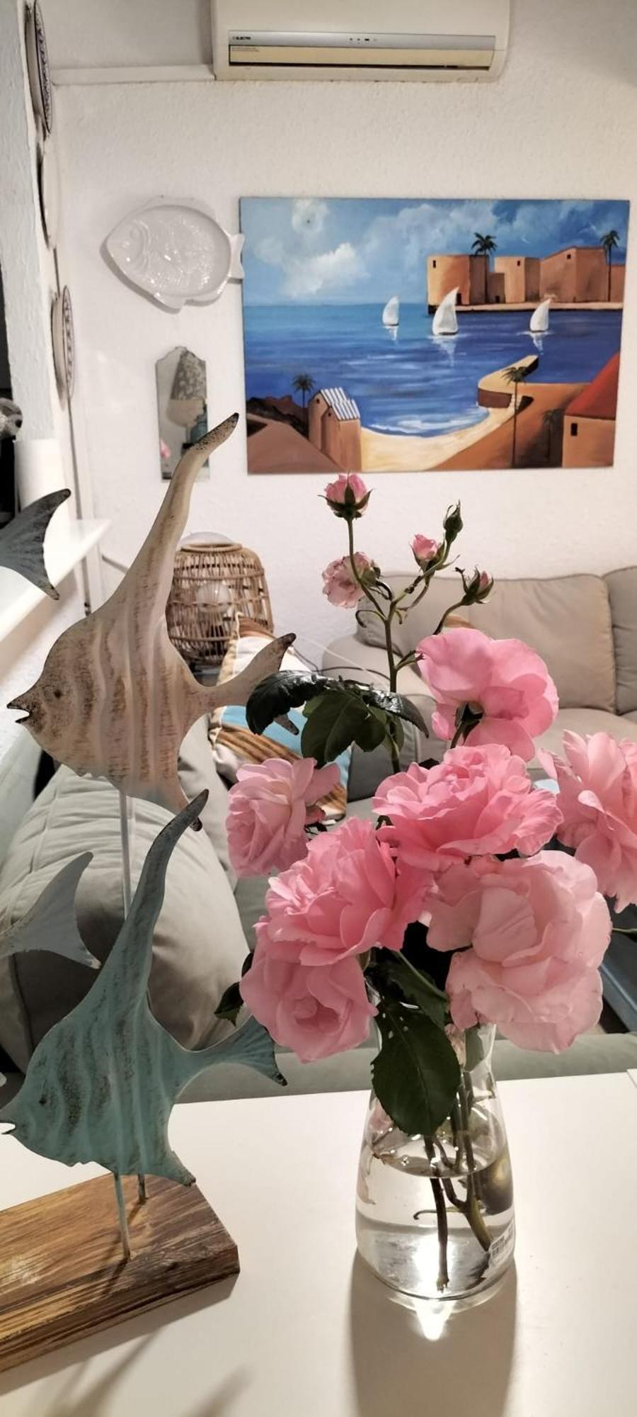Apartamento Conil, tu sueño Conil De La Frontera Exterior foto